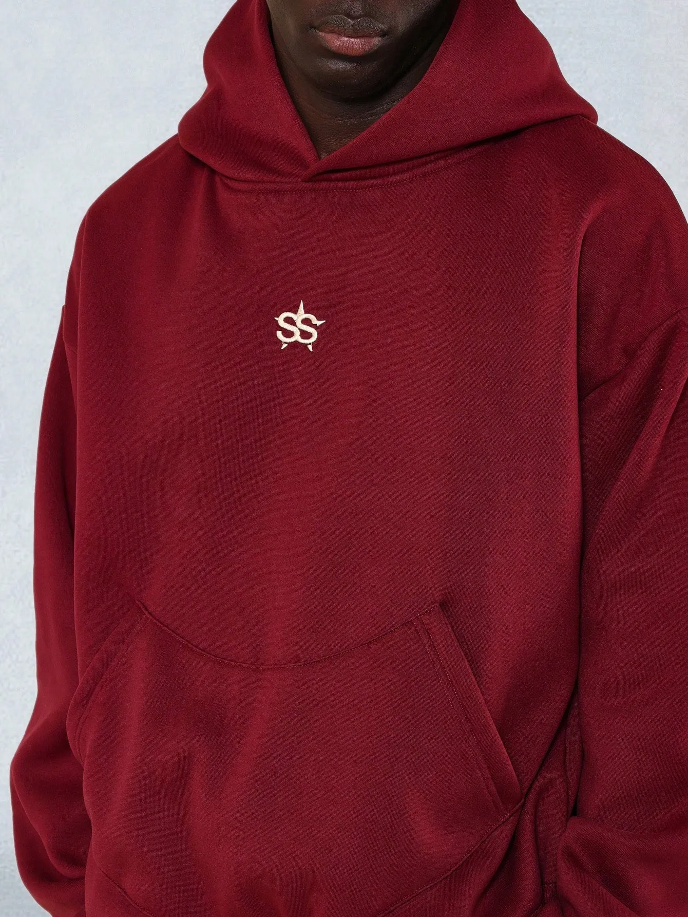 Regular Fit Overhead Embroidered & Graphic Printed Hoodie