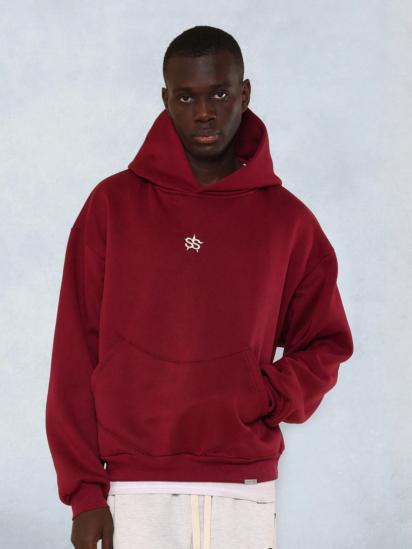 Regular Fit Overhead Embroidered & Graphic Printed Hoodie